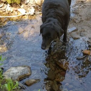 Meet your Posher, Wesley